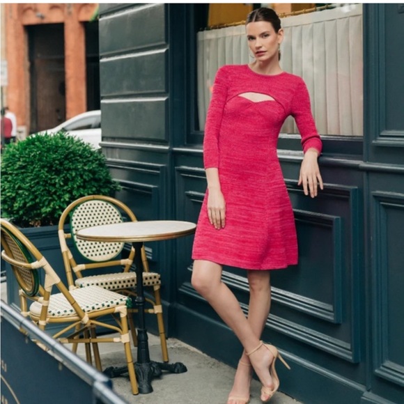 Shoshanna Dresses & Skirts - NWT Shoshanna Janet Fuchsia Mini Dress Small